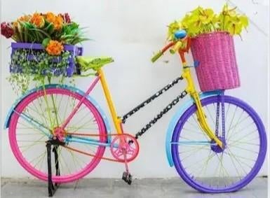 Damesfiets te leen gevraagd in Putten, Ophalen of Verzenden, 14 inch of minder