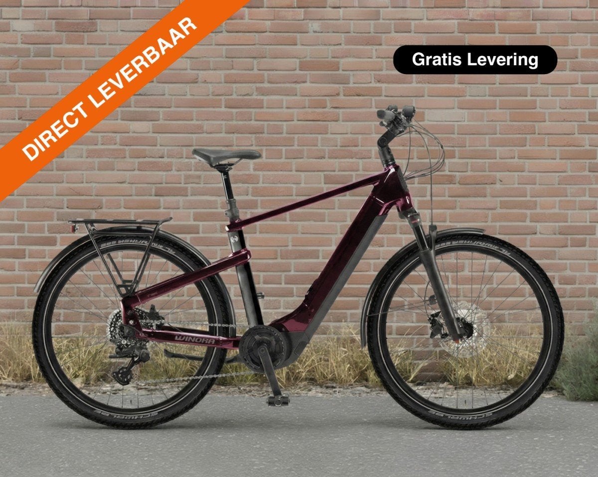 Winora Yakun X10E, 625 Wh Heren Adviesprijs: € 3699, Fietsen en Brommers, Elektrische fietsen, -, -, Nieuw, -