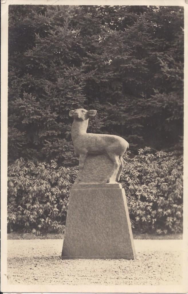 Hoenderloo de hoge veluwe hert oude ansichtkaart ( 8137 ), Ophalen of Verzenden, 1960 tot 1980, Gelopen, Gelderland