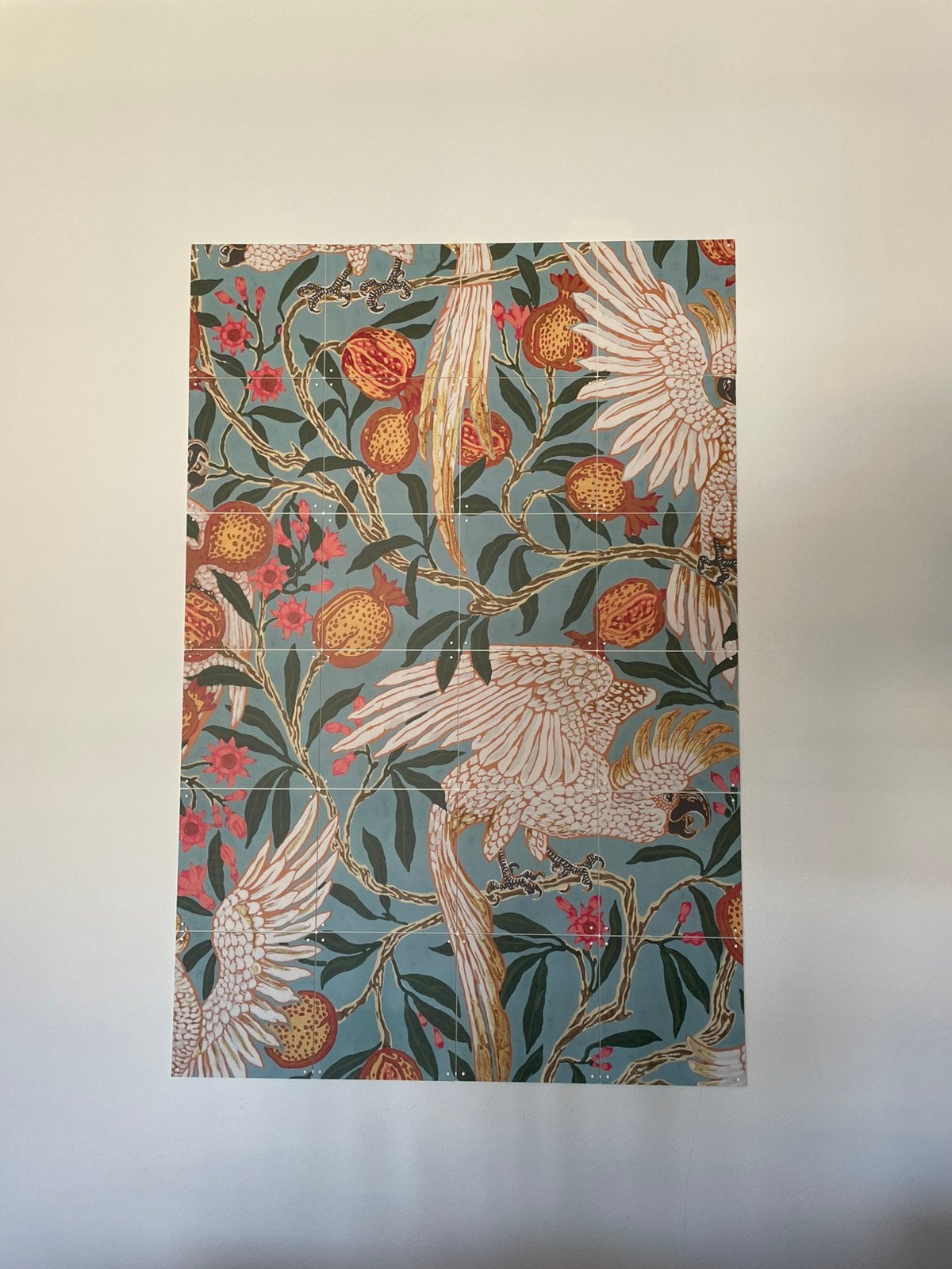 IXXI Cockatoo and Pomegranate, Ophalen of Verzenden