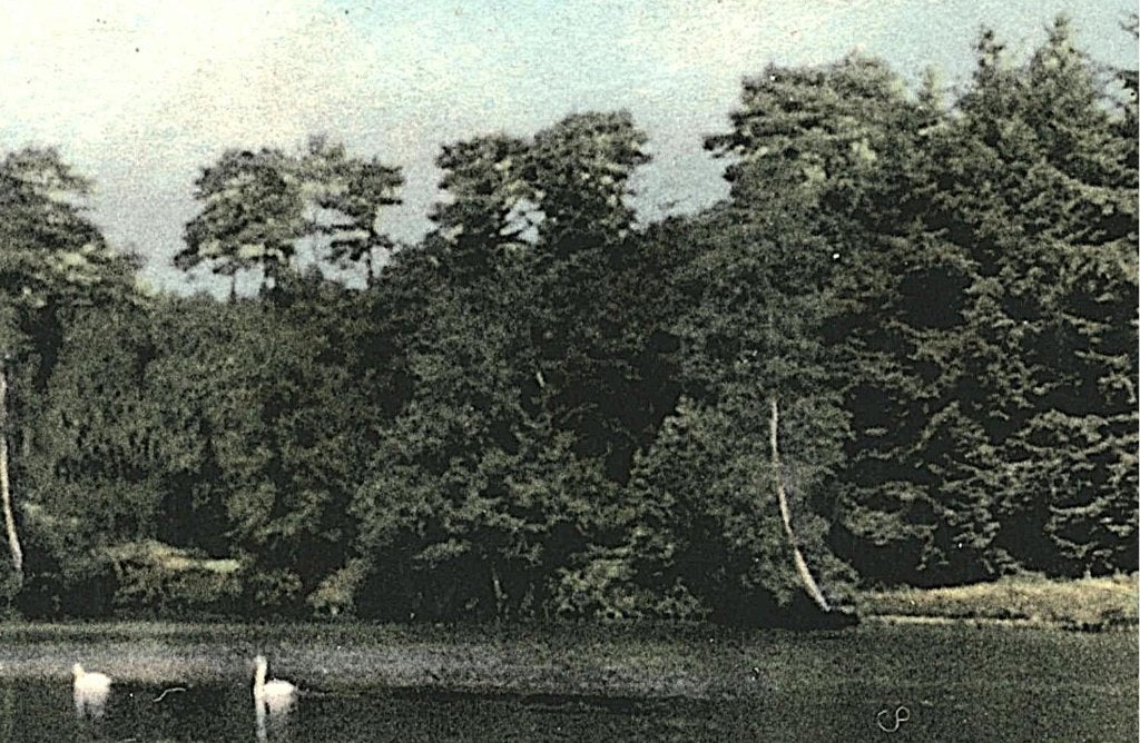 939963 Apeldoorn Berg en Bos Leuke oude kaart Onbeschreven, Ophalen of Verzenden, 1920 tot 1940, Ongelopen, Gelderland