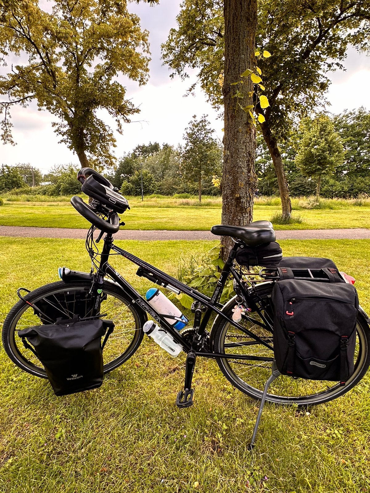Koga Miyata Randonneur Toerfiets/ Vakantiefiets, 53 tot 56 cm, Ophalen of Verzenden, Zo goed als nieuw, Koga Miyata