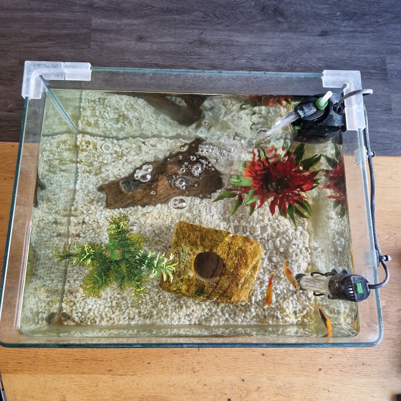 Aquarium compleet 35 liter, Ophalen, Gevuld zoetwateraquarium