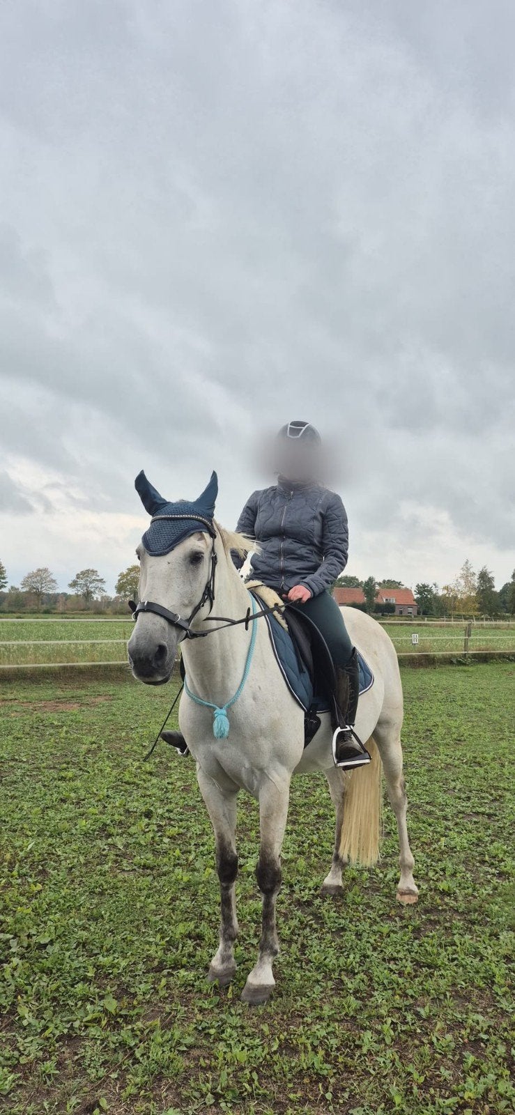 bijrijd paard/buitenrit maatje gezocht, Ophalen of Verzenden