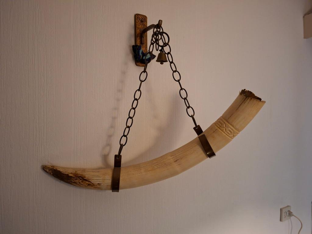 Decoratieve Hoorn met Ketting en Bel, Ophalen of Verzenden