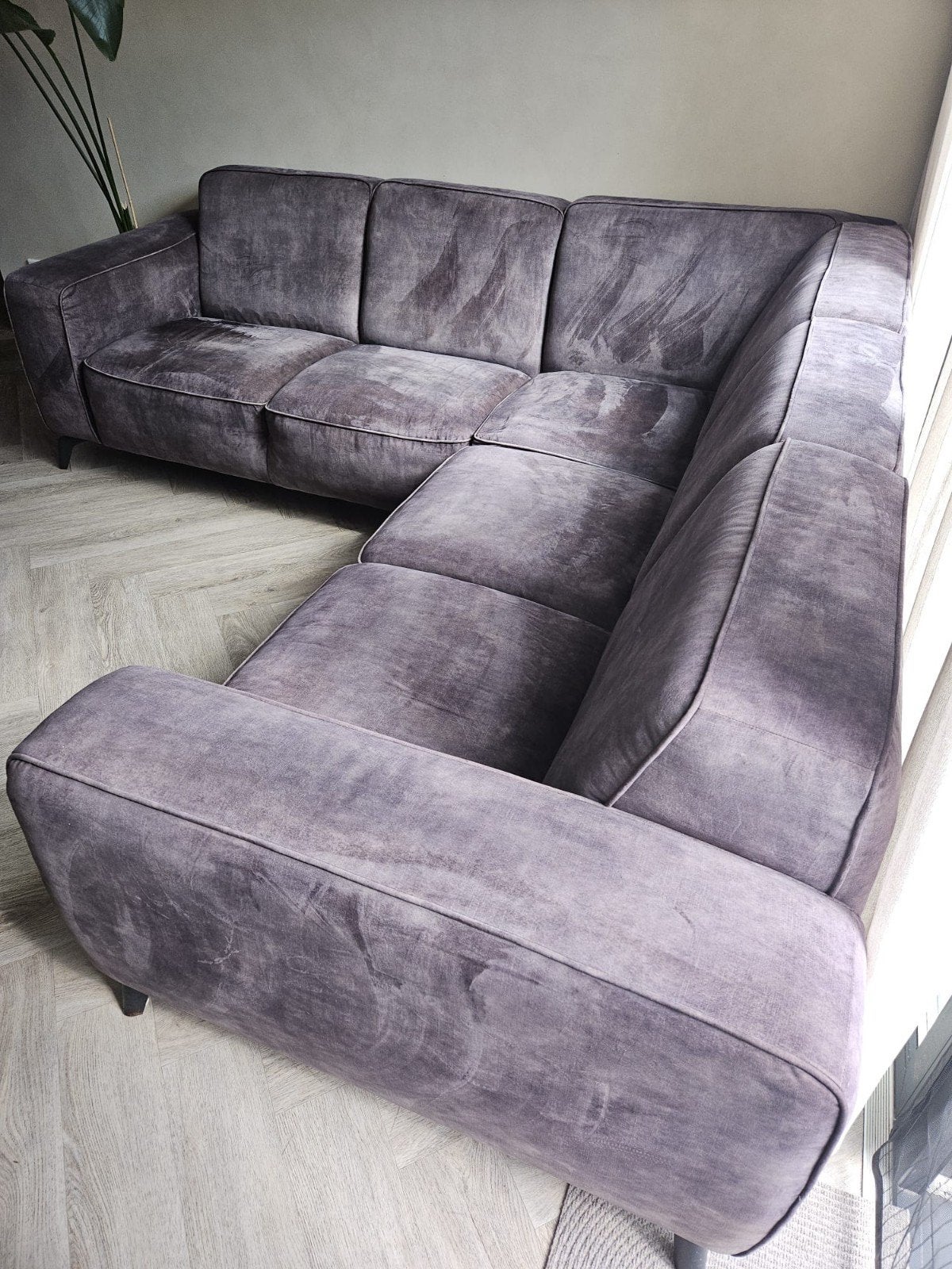Hoekbank antraciet, 3 jaar oud, velvet, huisdierbestendi, Ophalen, 250 tot 300 cm, Gebruikt, Minder dan 75 cm