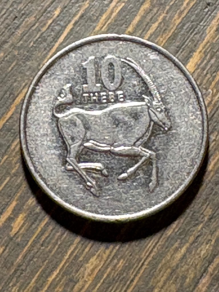 10 Thebe 1998 Botswana, Postzegels en Munten, Munten | Afrika, Ophalen of Verzenden, Overige landen, Losse munt