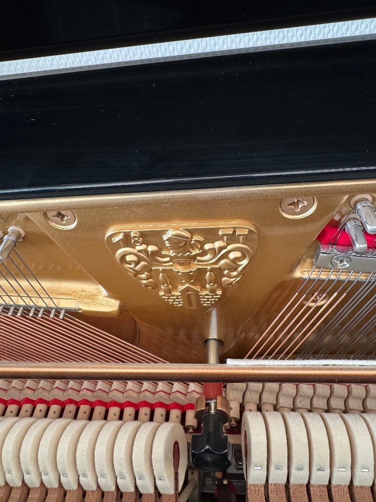 Foto 8 van Wilh. Steinberg P118 (piano zwart hoogglans)