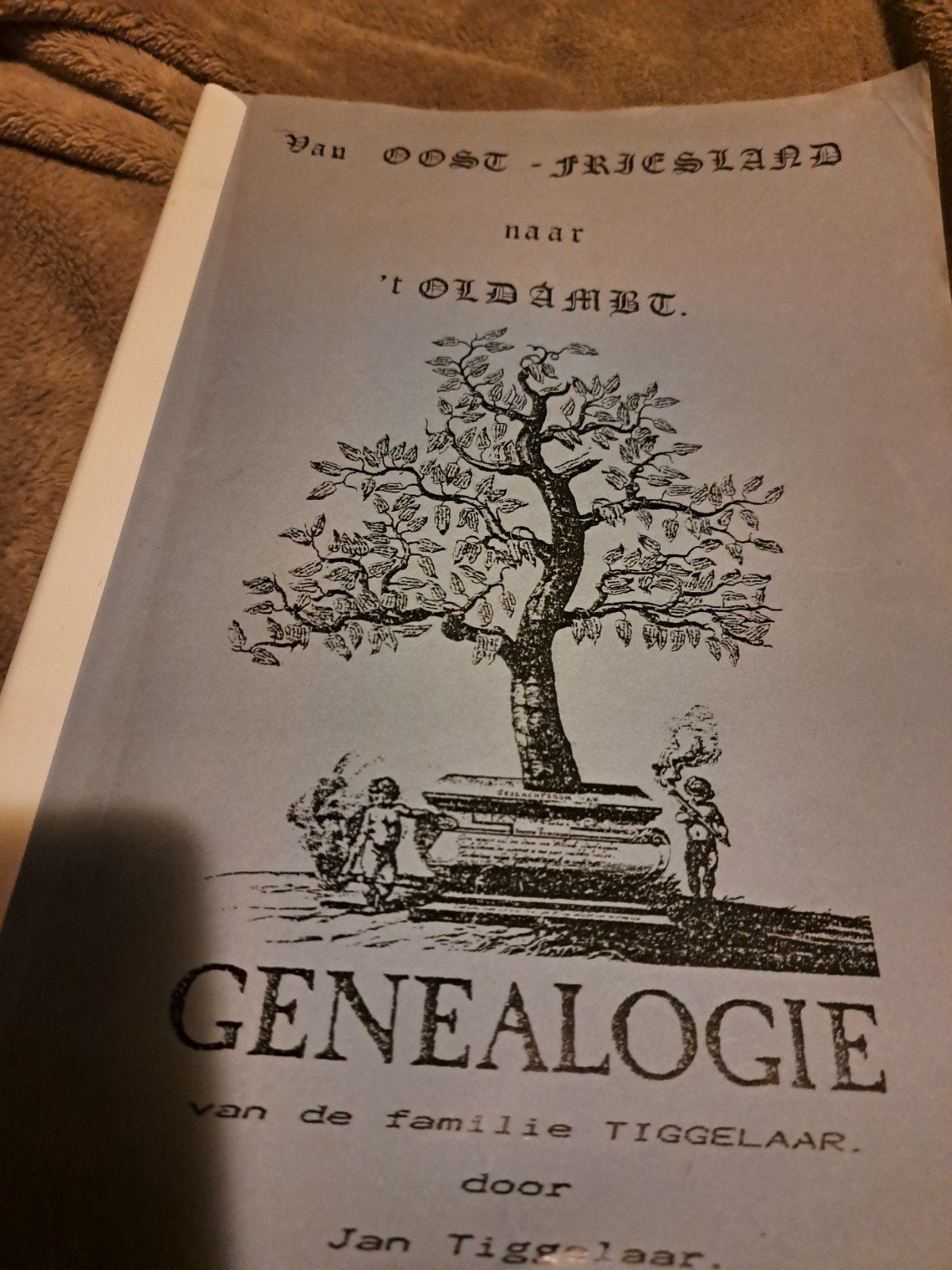 Genealogie familie Tiggelaar -, Boeken, Ophalen of Verzenden, Gelezen, Jan Tiggelaar, Overige