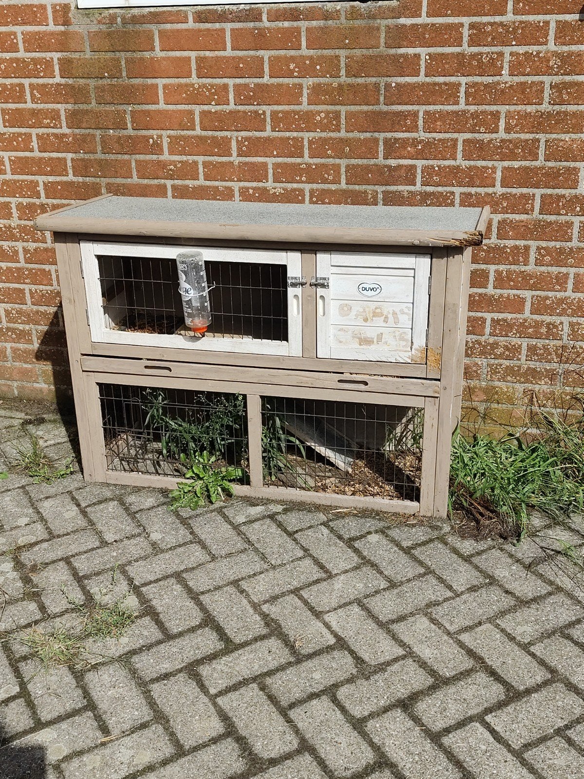 Caviahok, Dieren en Toebehoren, Ophalen, 75 tot 110 cm, Hok, Cavia