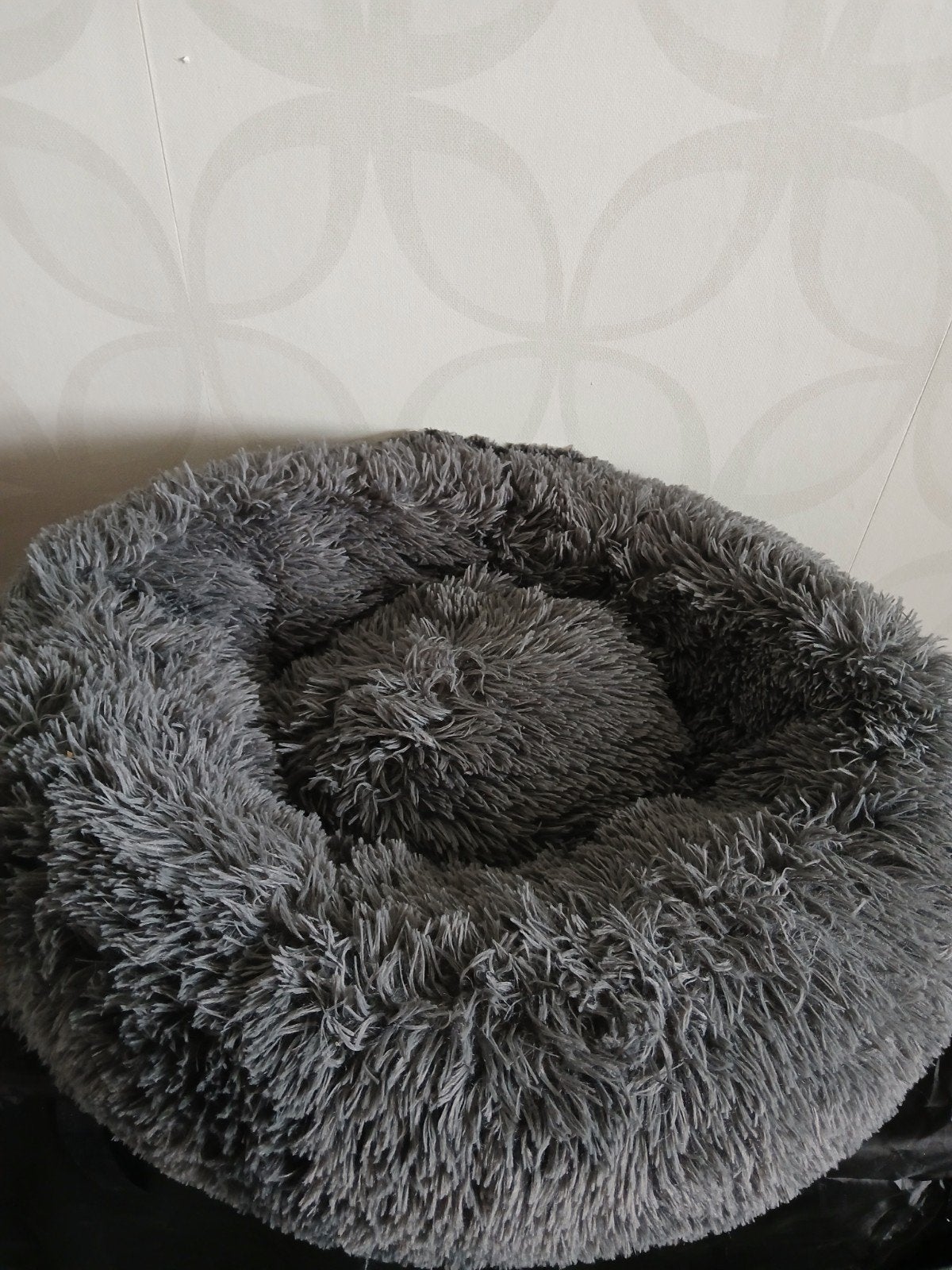 Donuts honden mand, Ophalen