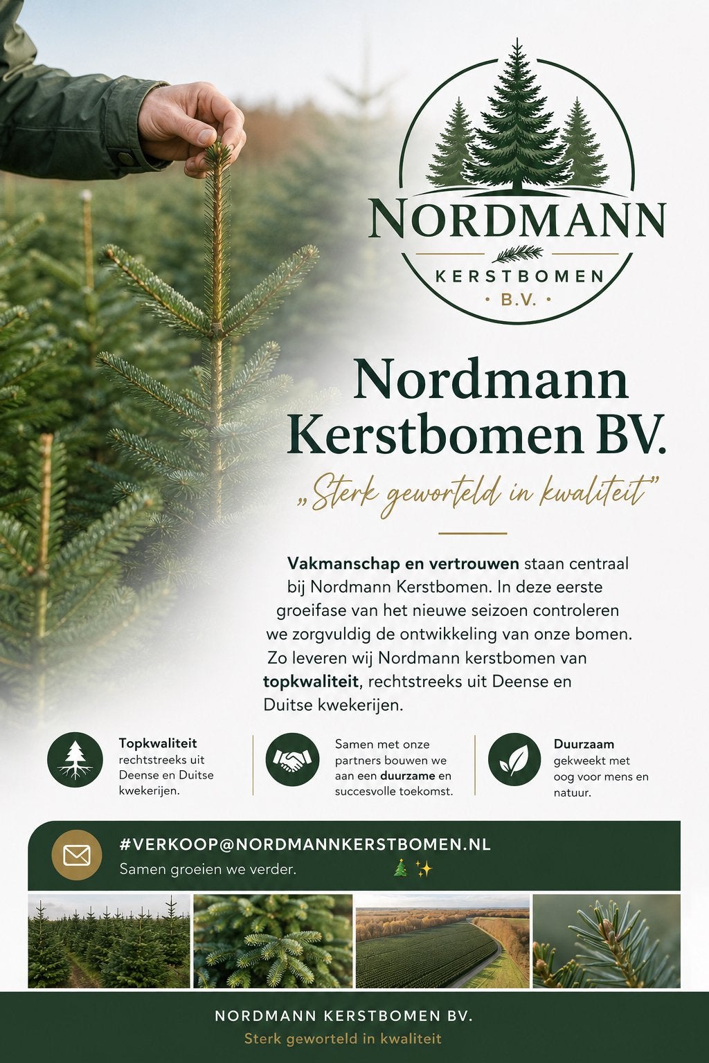 Nordmann Kerstbomen BV: Topkwaliteit voor B2B, Ophalen of Verzenden