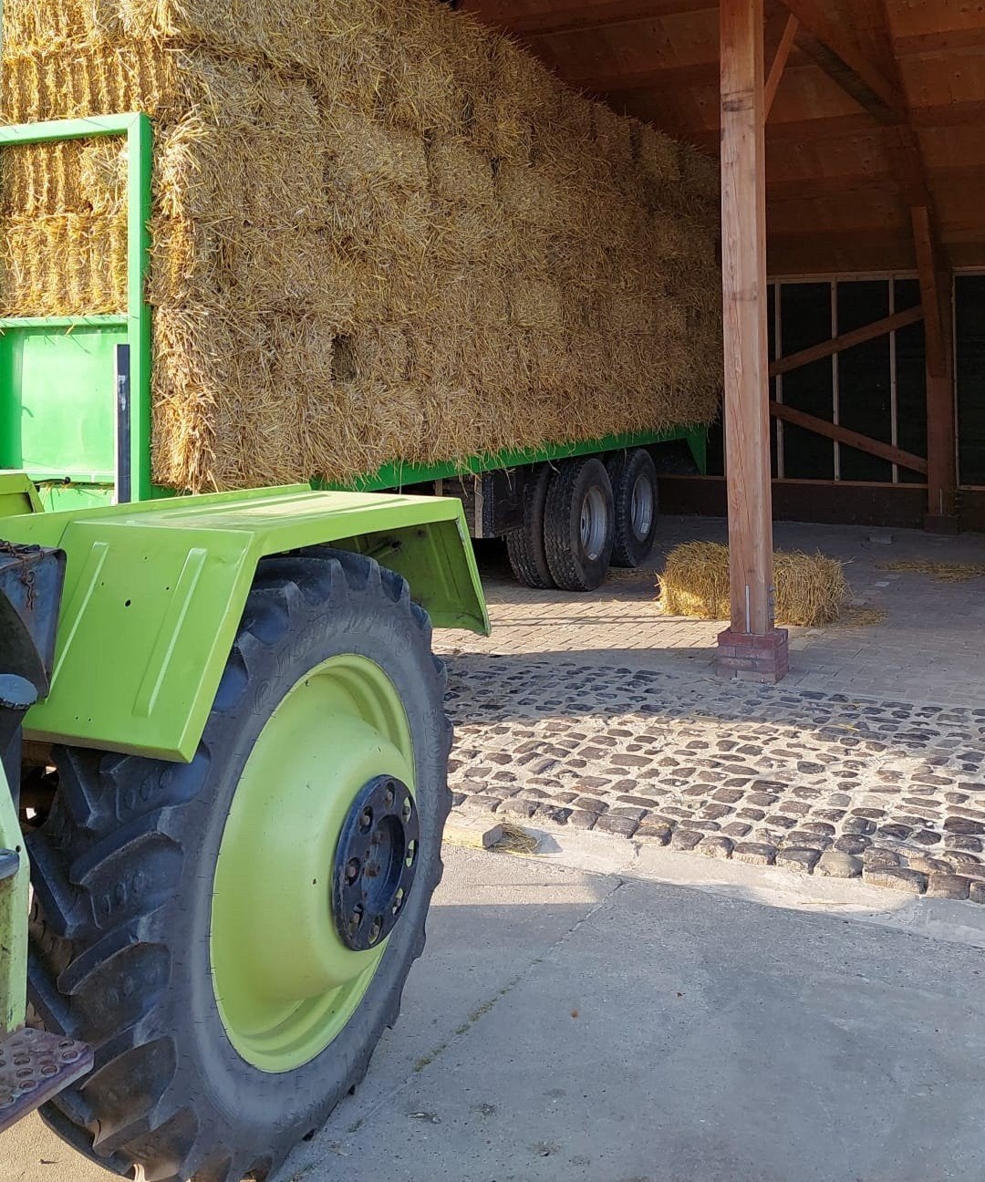 kleine pakjes tarwe stro, Ophalen of Verzenden, Veehouderij, Overige typen