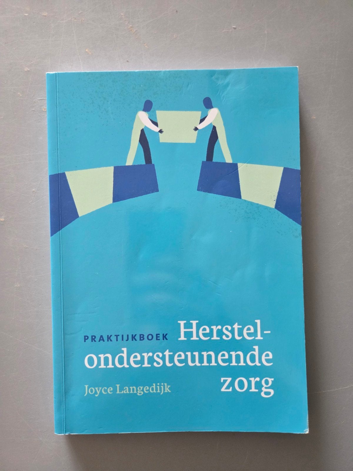 Praktijkboek Herstelondersteunende Zorg - Joyce Langedijk, Boeken, Ophalen of Verzenden, Gelezen, HBO, Joyce Langedijk