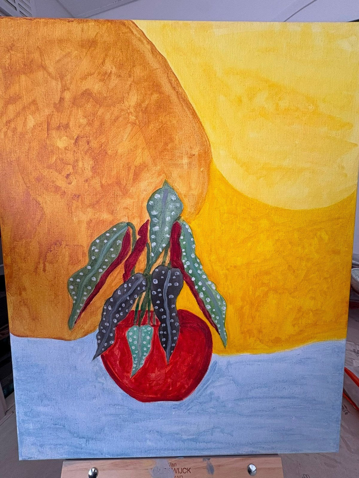 Begonia, Ophalen of Verzenden, Papier/karton, Handgeschilderd, Overig onderwerp