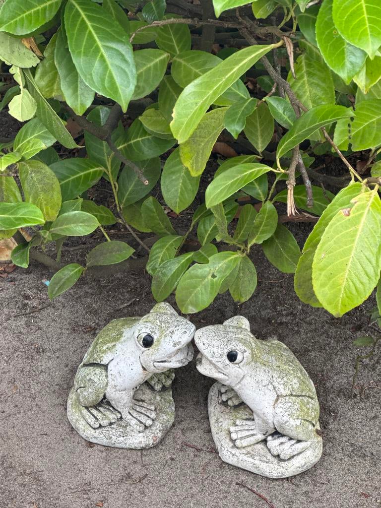 Twee stenen kikkers voor tuin of decoratie, Tuin en Terras, Tuinbeelden, Ophalen of Verzenden, Gebruikt, Steen, Dierenbeeld