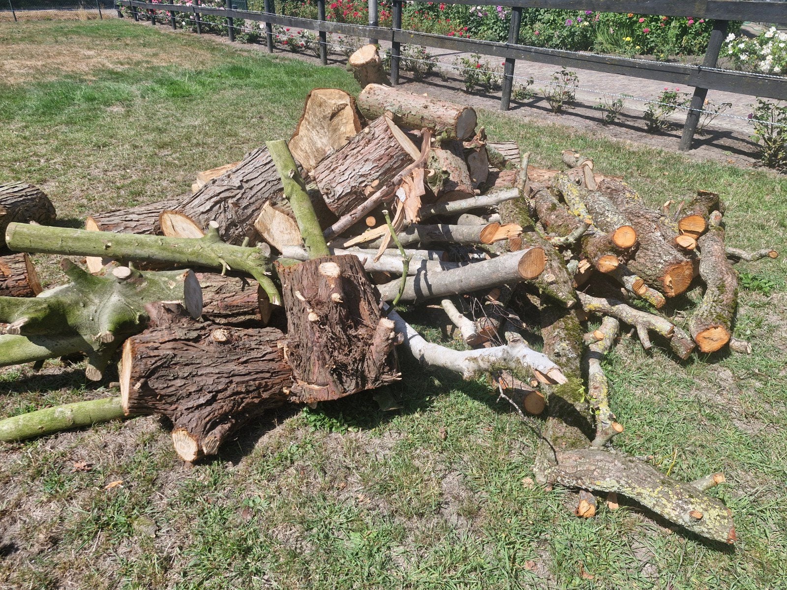 haardhout, Tuin en Terras, Haardhout, Minder dan 3 m³, Ophalen