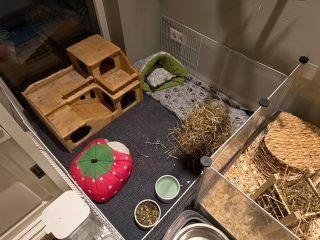 liefdevolle vakantieopvang voor uw cavia of konijn, Ophalen, Nieuw, Overige typen