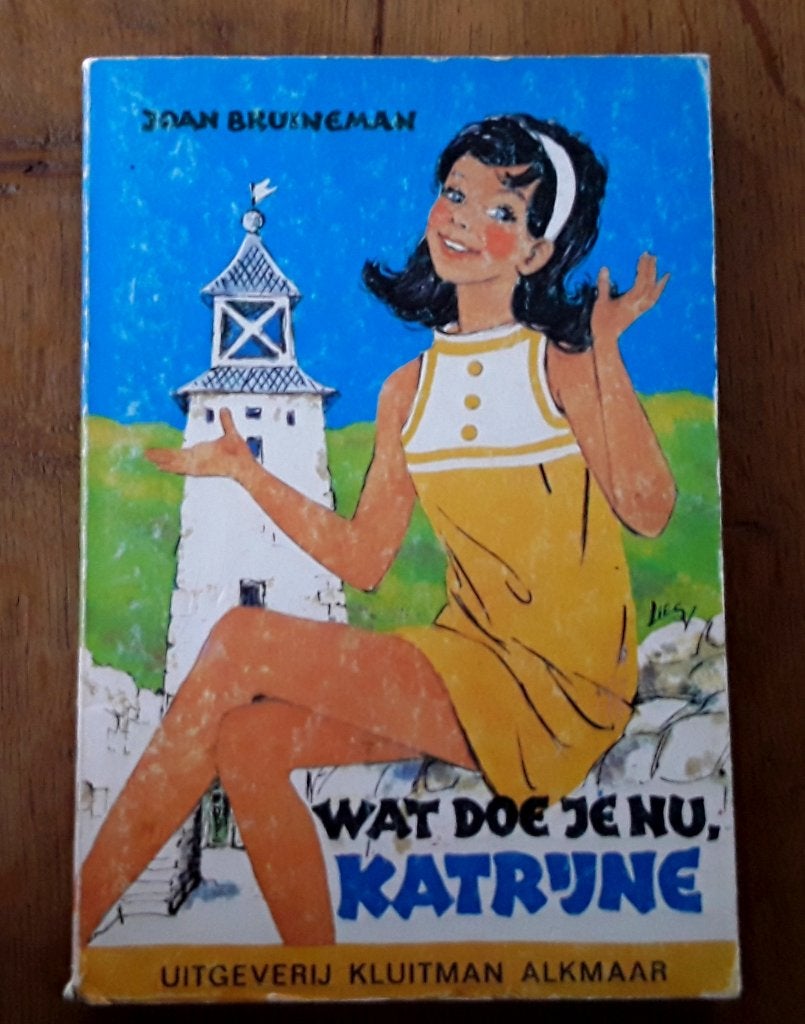 Joan Bruineman - Wat doe je nu, Katrijne, Ophalen of Verzenden, Gelezen