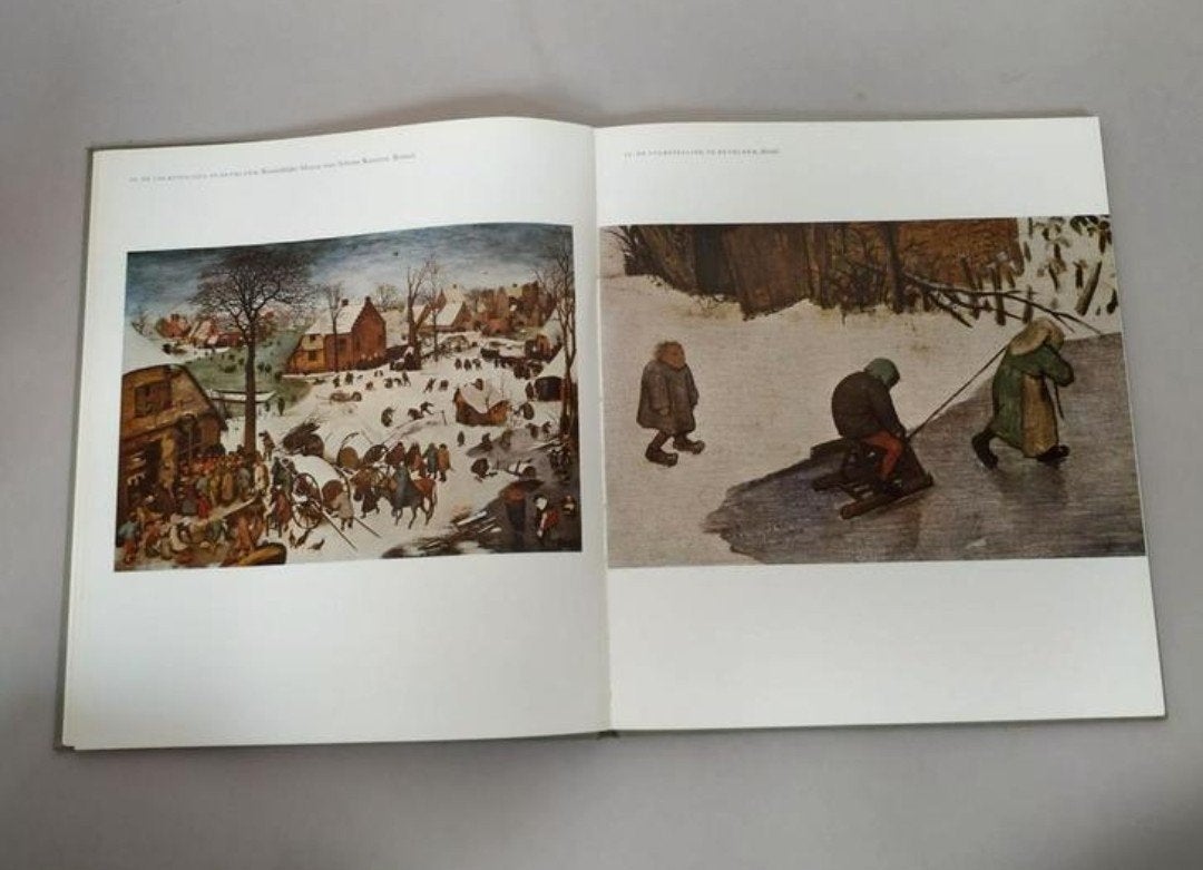 Boekje werken van Bruegel, Boeken, Ophalen of Verzenden