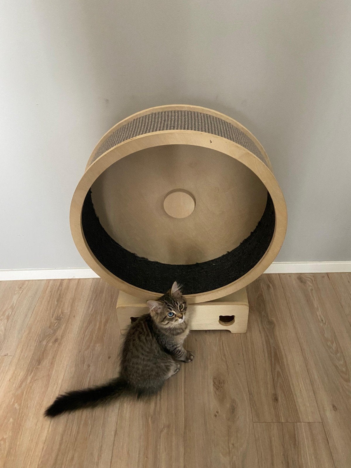 Kattenloopwiel, kattenlooprad, Ophalen, Gebruikt, Overig speelgoed
