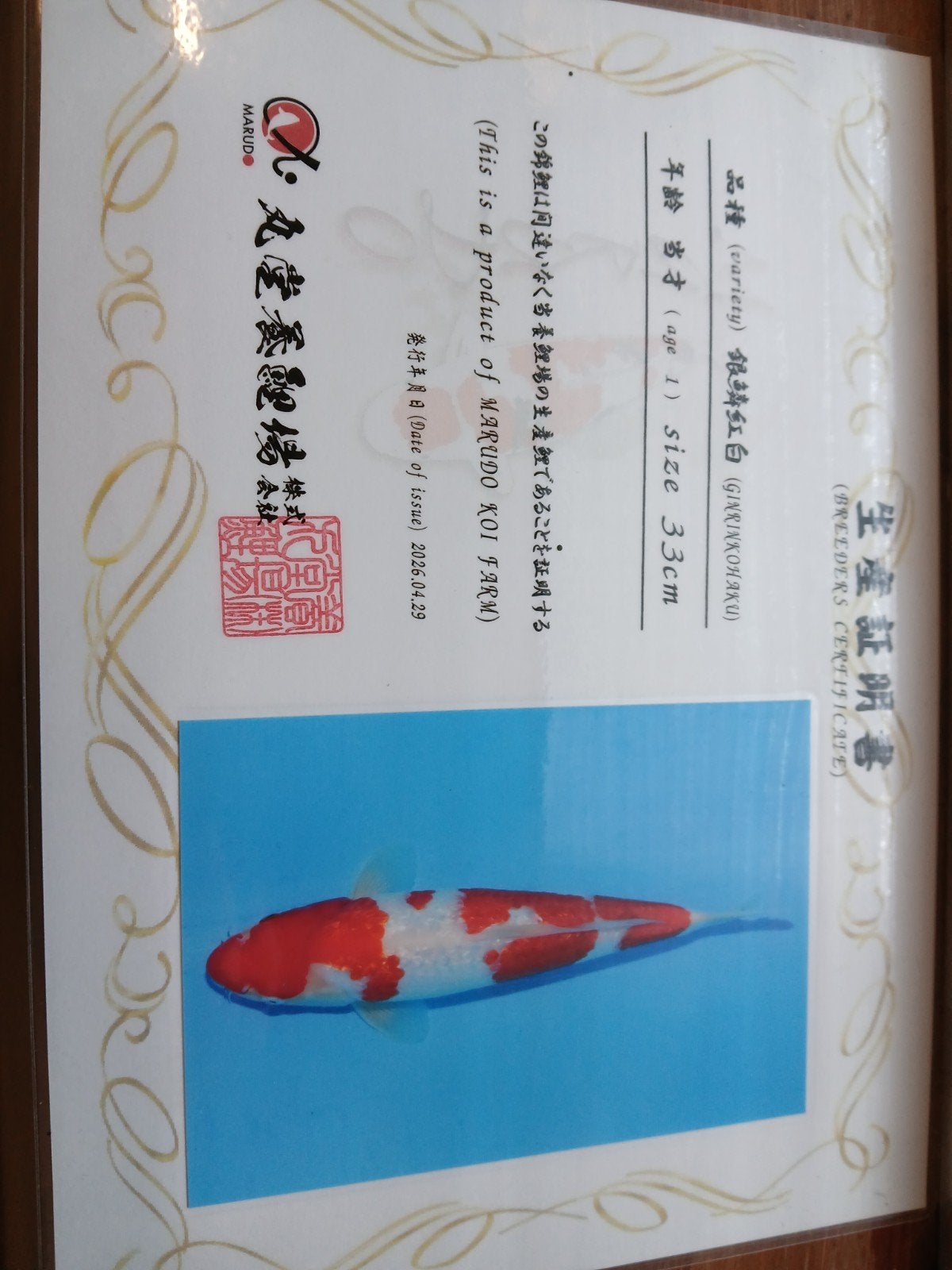 Marudo Tosai Ginrin Kohaku, Ophalen, Nieuw