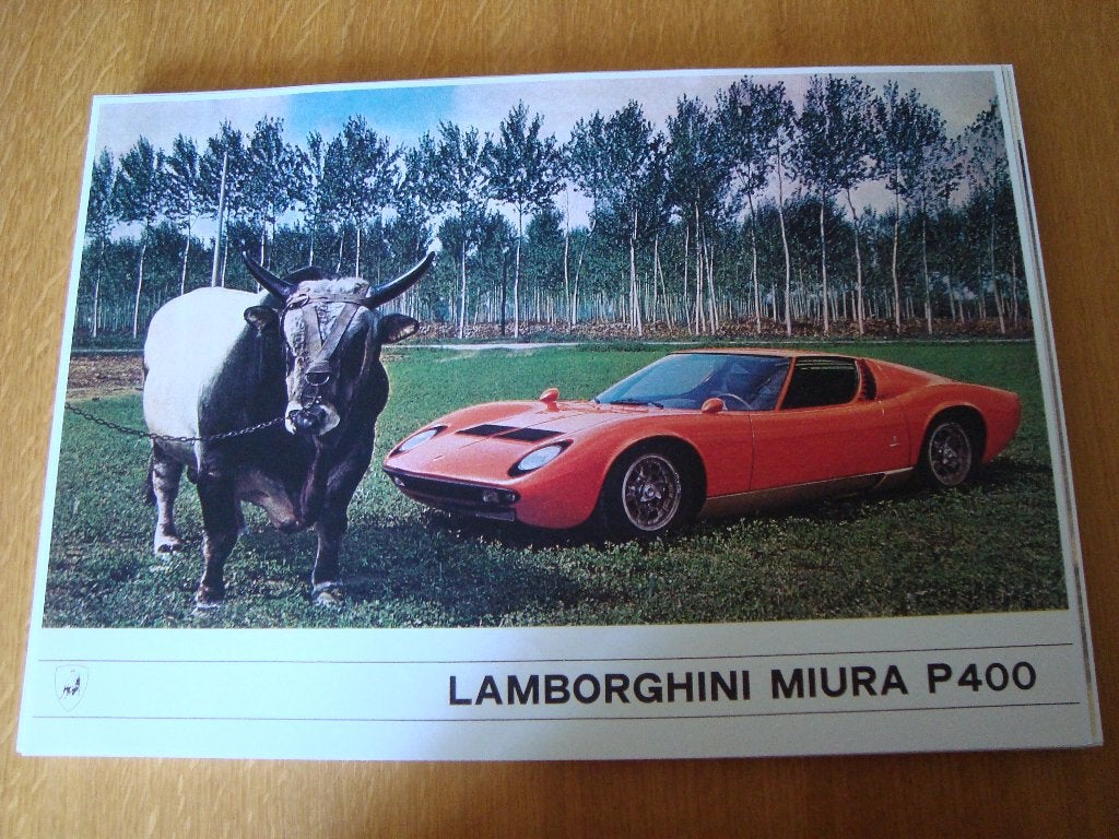 Lamborghini miura p 400 plaat 42-30 cm, Ophalen of Verzenden, Nieuw, Auto's