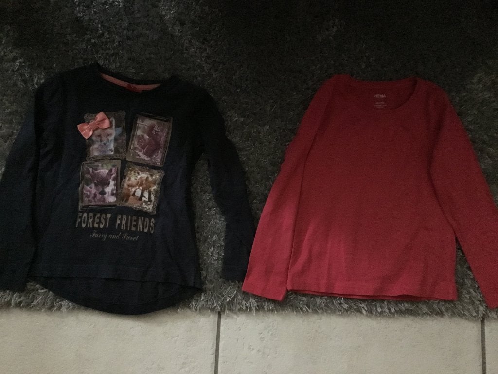 Longsleeves meisje, maat 98 en 98/104, Ophalen of Verzenden, Zo goed als nieuw, Meisje, Shirt of Longsleeve