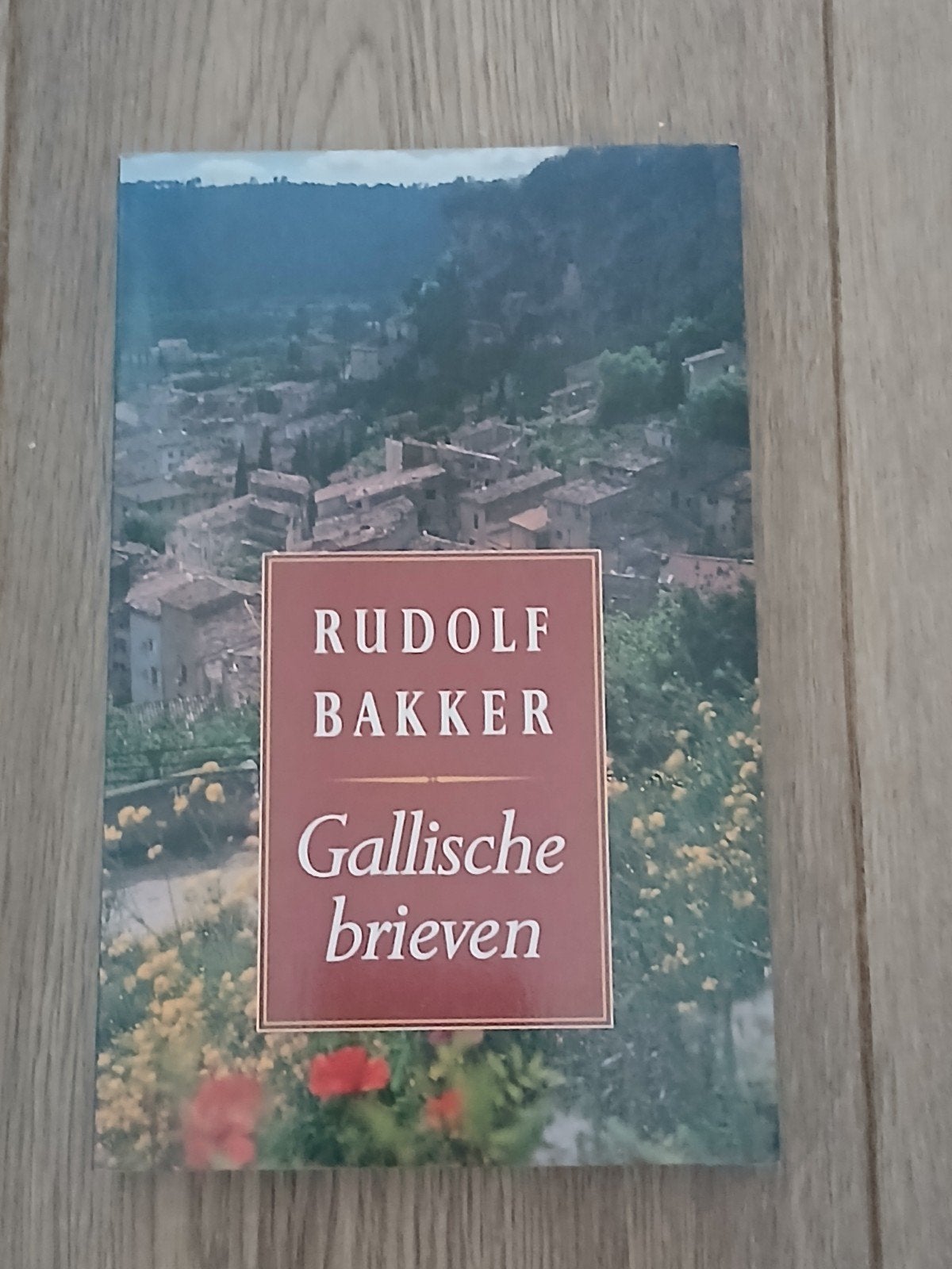 Rudolf Bakker - Gallische brieven, Ophalen of Verzenden, Zo goed als nieuw, Reina Bakker