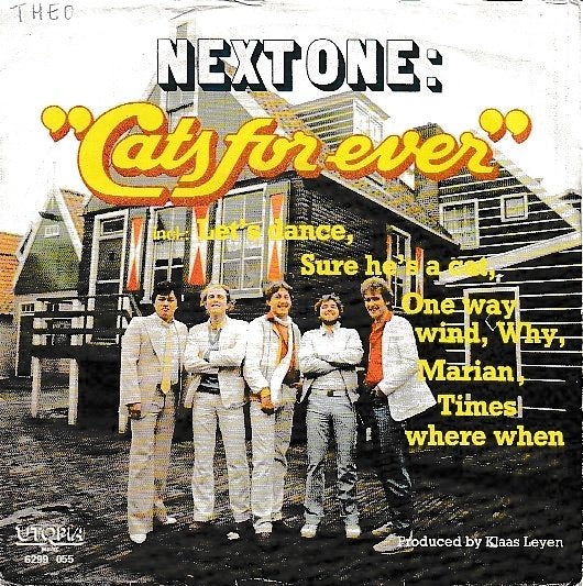 Next One - Cats for ever, Cd's en Dvd's, Ophalen of Verzenden, Gebruikt, 7 inch, Pop