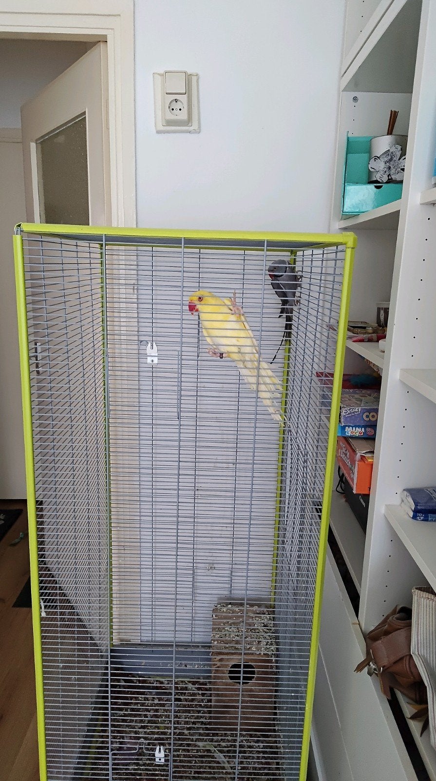 VogelKooi zonder vogels, Dieren en Toebehoren, Vogels | Hokken en Kooien, Ophalen, Hout, Vogelkooi
