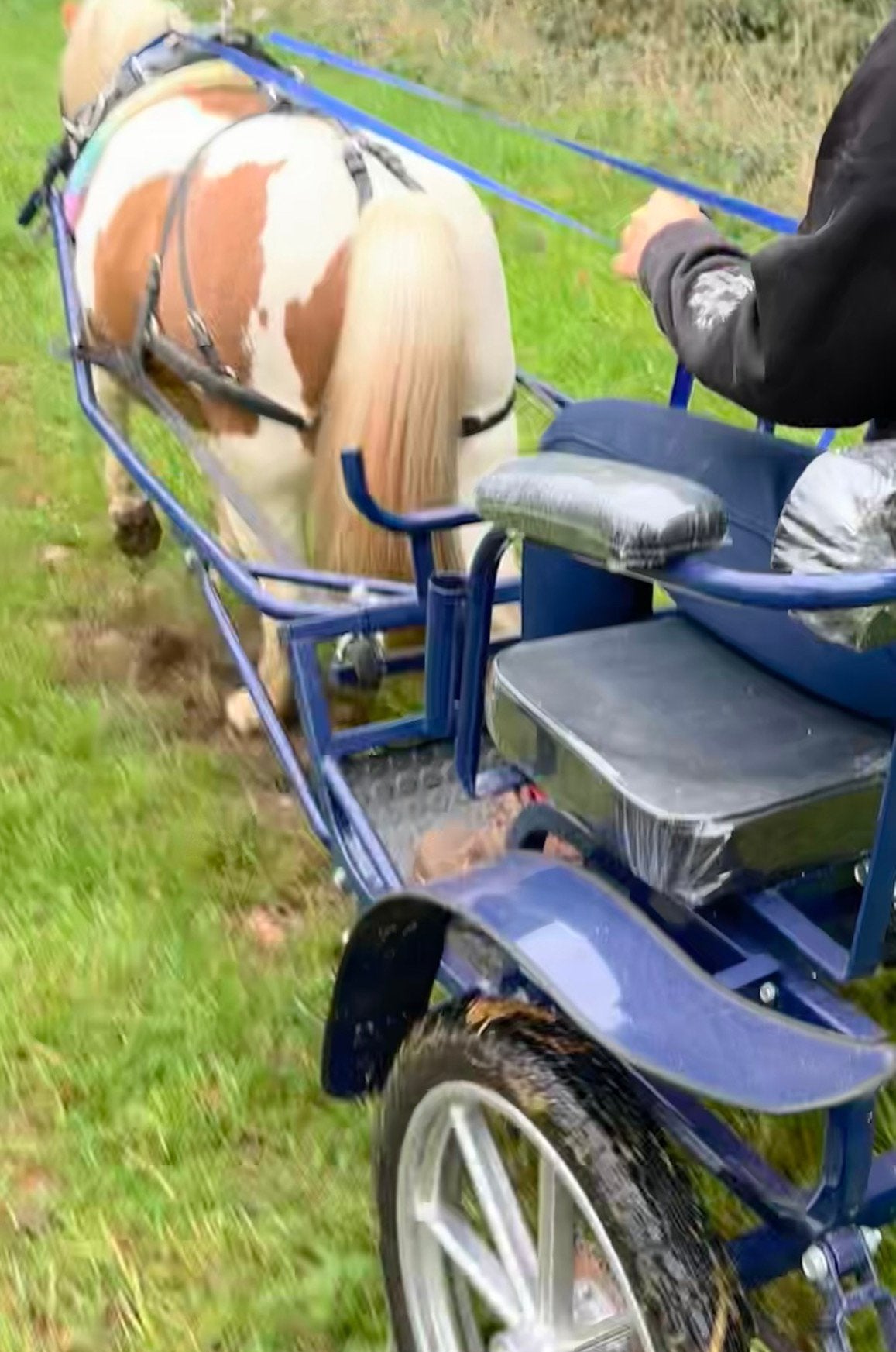 Sulky Cavalettie Sport Edition met tuig (shet), Pony