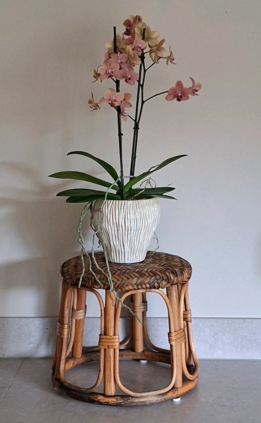 Vintage rotan krukje / plantenstandaard boho, Huis en Inrichting, Ophalen of Verzenden, Gebruikt, Overige materialen