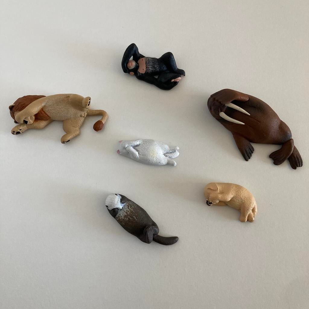 Slapende Dieren Gashapon Kawaii, Ophalen of Verzenden, Zo goed als nieuw, Beeldje of Figuurtje