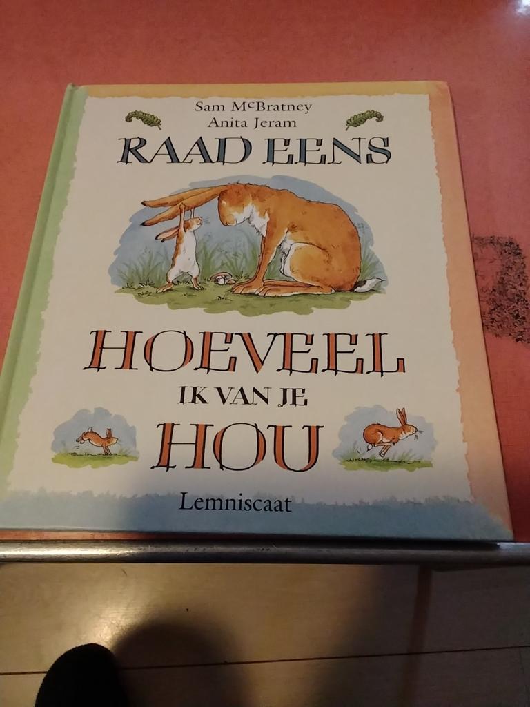 Sam MC Britney anita jeram raad eens hoeveel ik van je hou€5, Ophalen of Verzenden, Zo goed als nieuw, Fictie algemeen