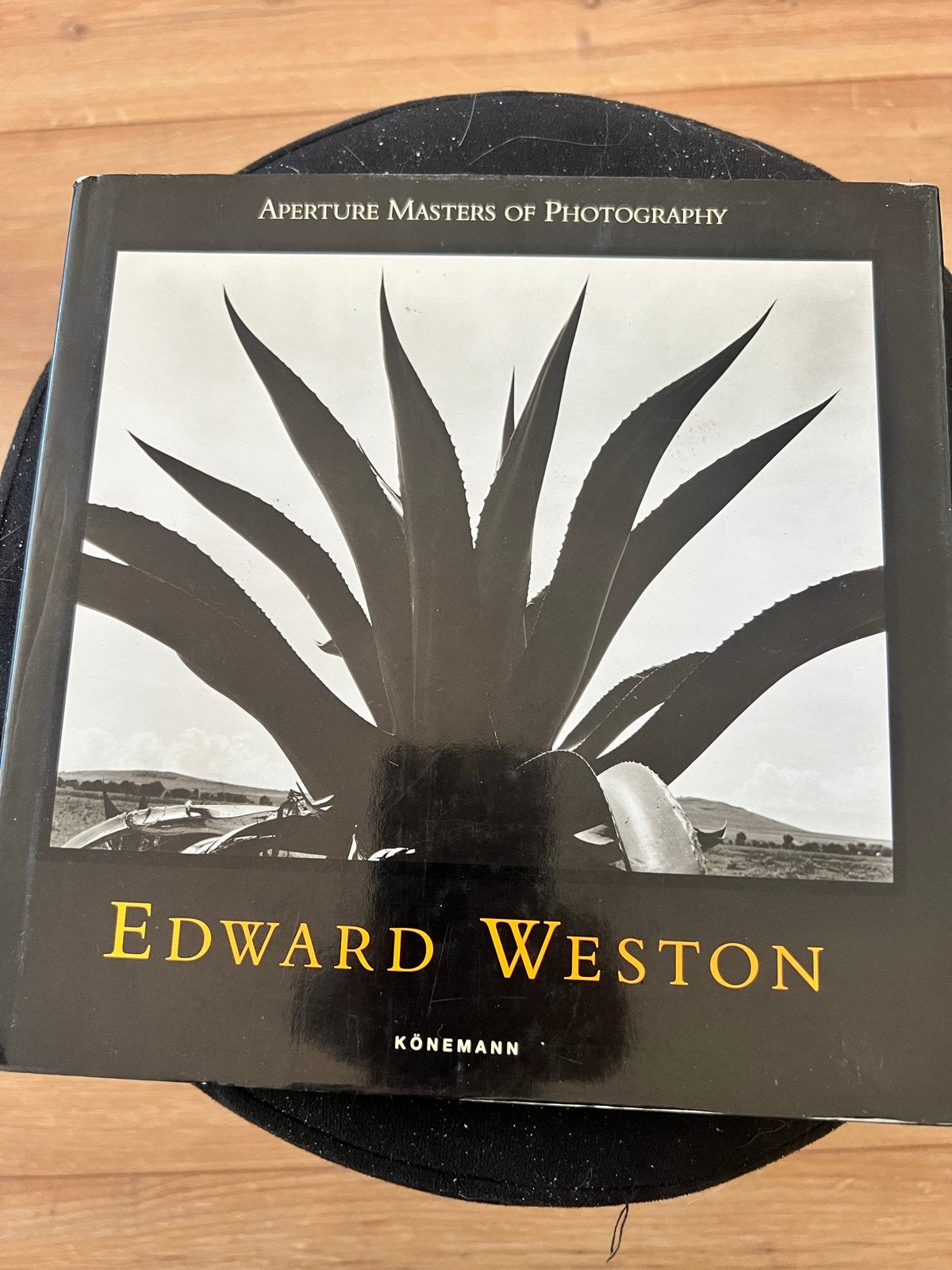 Edward Weston - Aperture Masters of Photography, Ophalen of Verzenden, Zo goed als nieuw, Fotografie algemeen