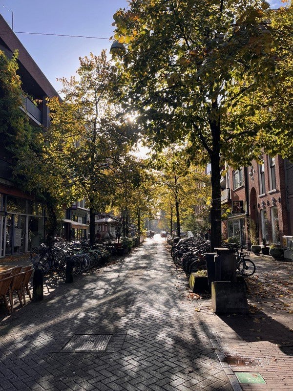 NIEUW! Woonruimte te huur Eerste Sweelinckstraat, Amsterdam