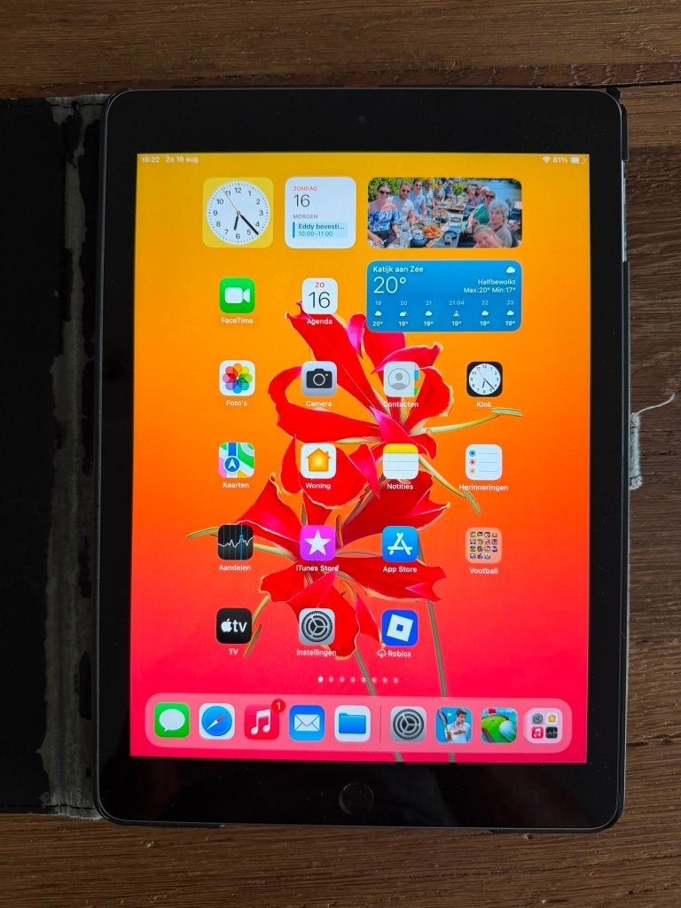 iPad (6e generatie), Computers en Software, Apple iPads, Gebruikt, 32 GB, Apple iPad, Zwart