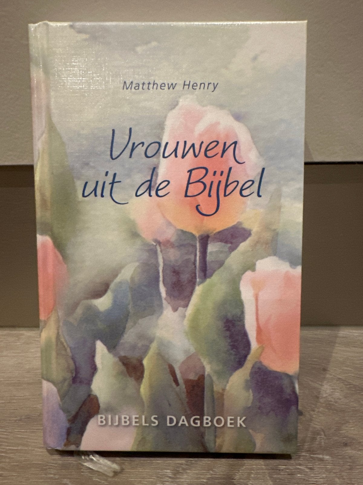 Vrouwen uit de Bijbel - Bijbels Dagboek, Ophalen of Verzenden, Zo goed als nieuw, Christendom | Protestants