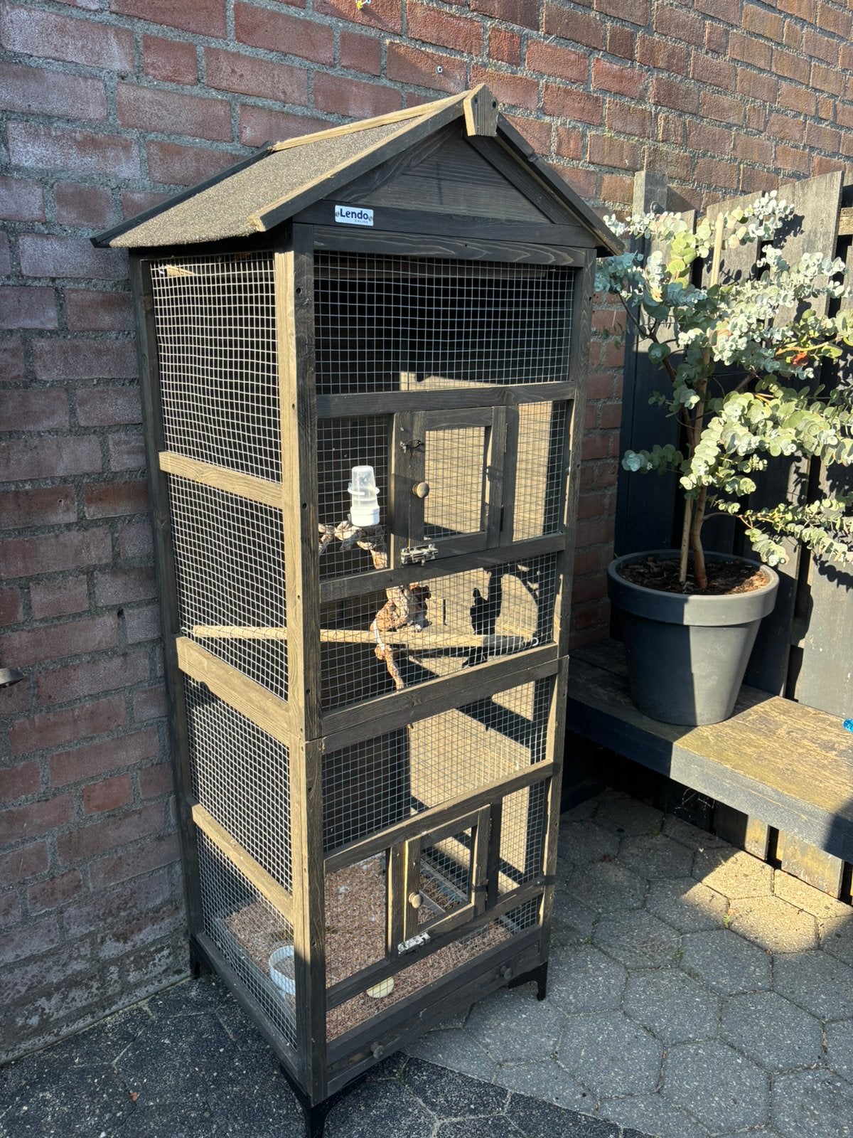 Volière eventueel met zwartkopsijs man, Dieren en Toebehoren, Ophalen, Zo goed als nieuw, Hout, Volière