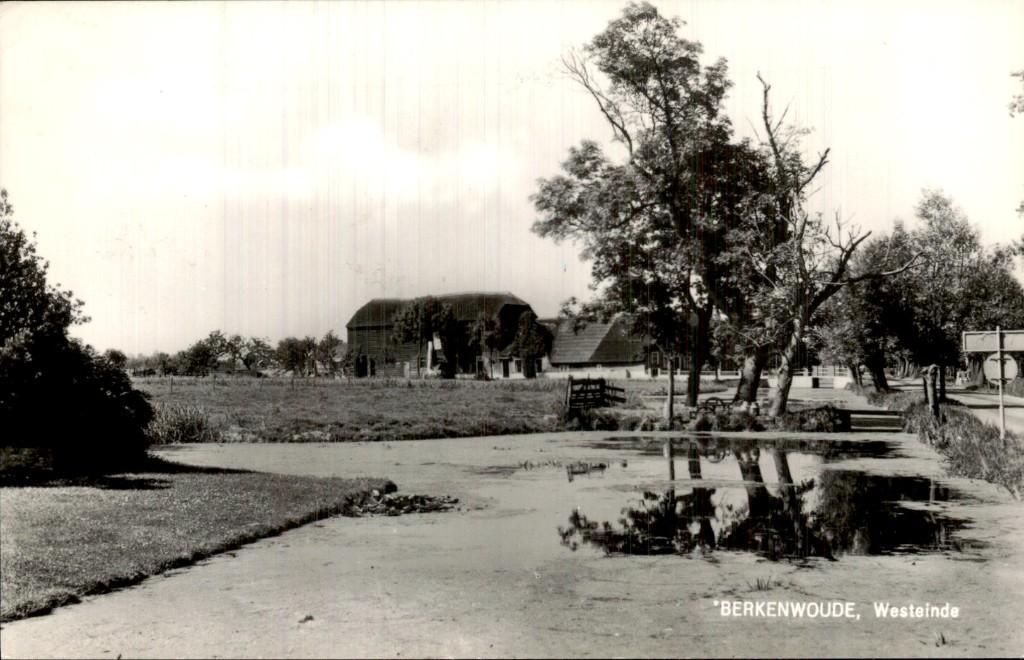 Berkenwoude - Westeinde - Ansicht, Verzamelen, Ophalen of Verzenden, 1960 tot 1980, Gelopen, Zuid-Holland