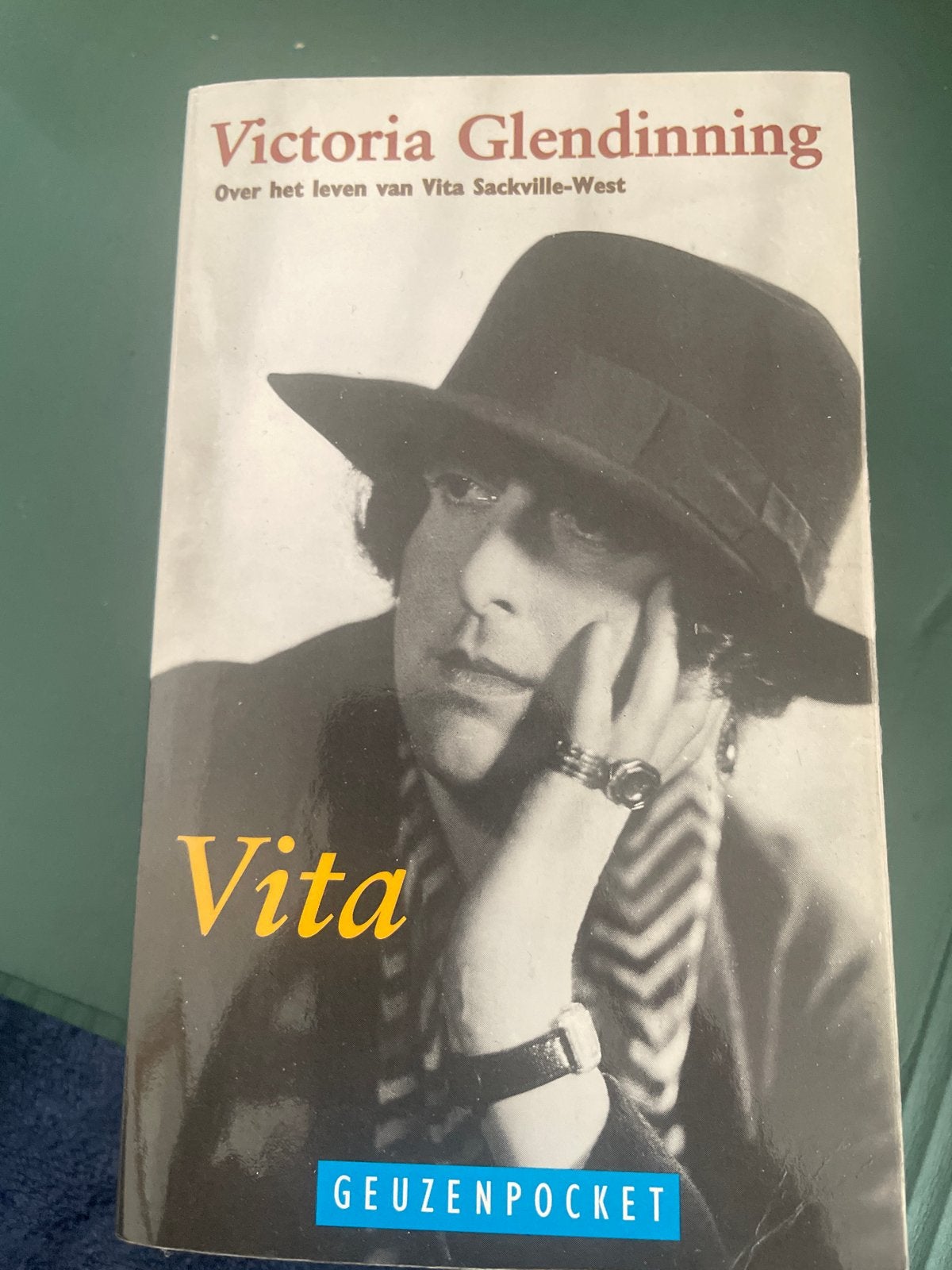 Vita: Over het leven van Vita Sackville-West, Ophalen of Verzenden, Gelezen, Kunst en Cultuur