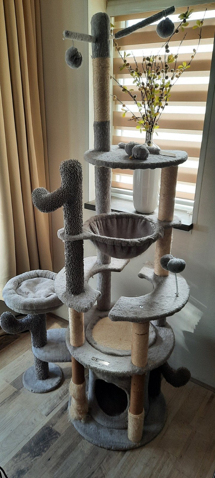 Kattenpaal, Ophalen, Zo goed als nieuw