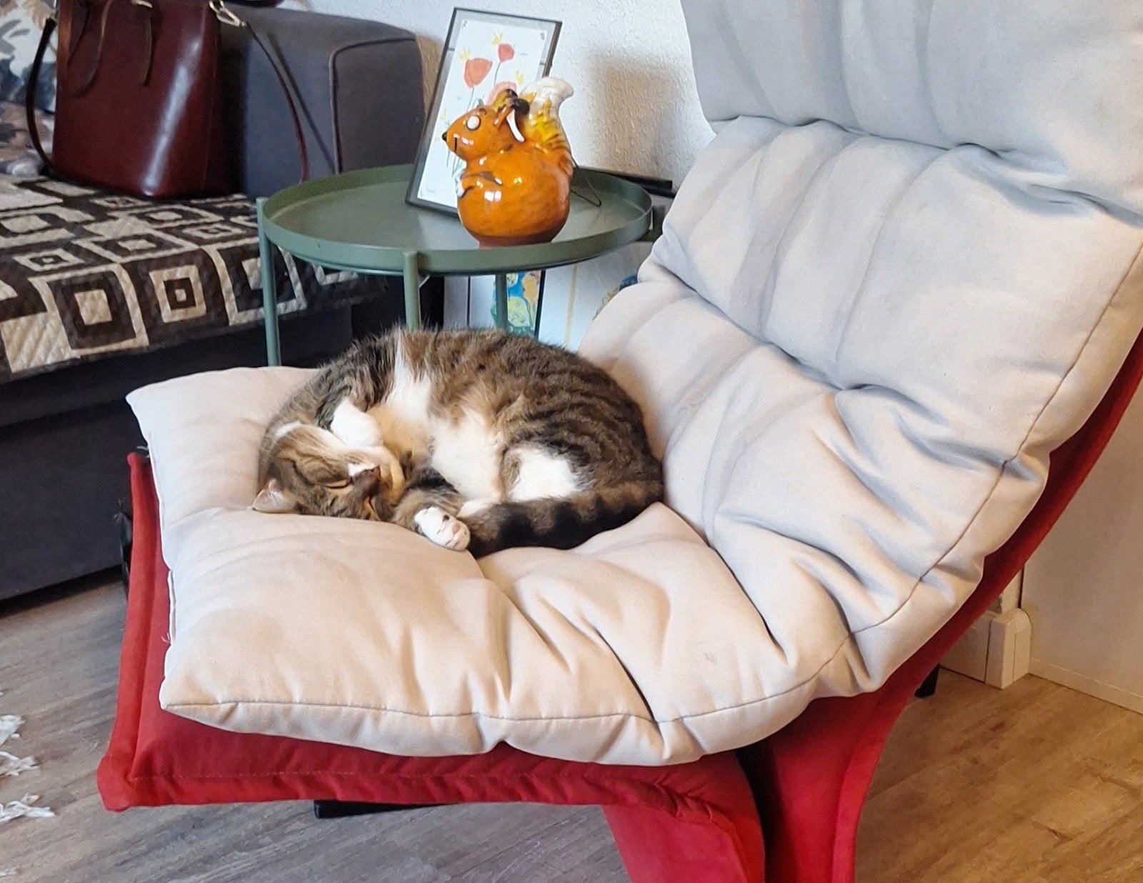 kattenoppas aan huis aangeboden  / Lansingerland, Ophalen of Verzenden, Nieuw
