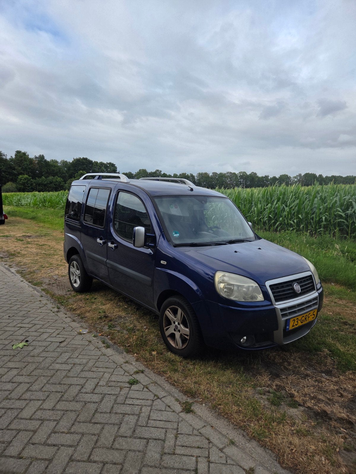 Fiat Doblo 1.4 2008 Blauw, Auto's, Voorwielaandrijving, Stof, Doblo, Blauw