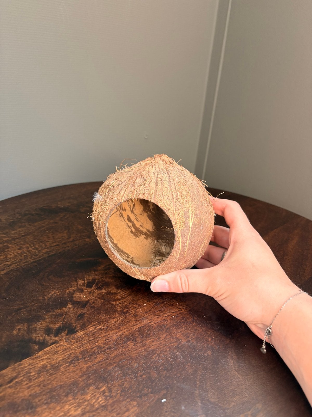 Hamsterscaping - kokosnoot schuilhuisje, Dieren en Toebehoren, Ophalen