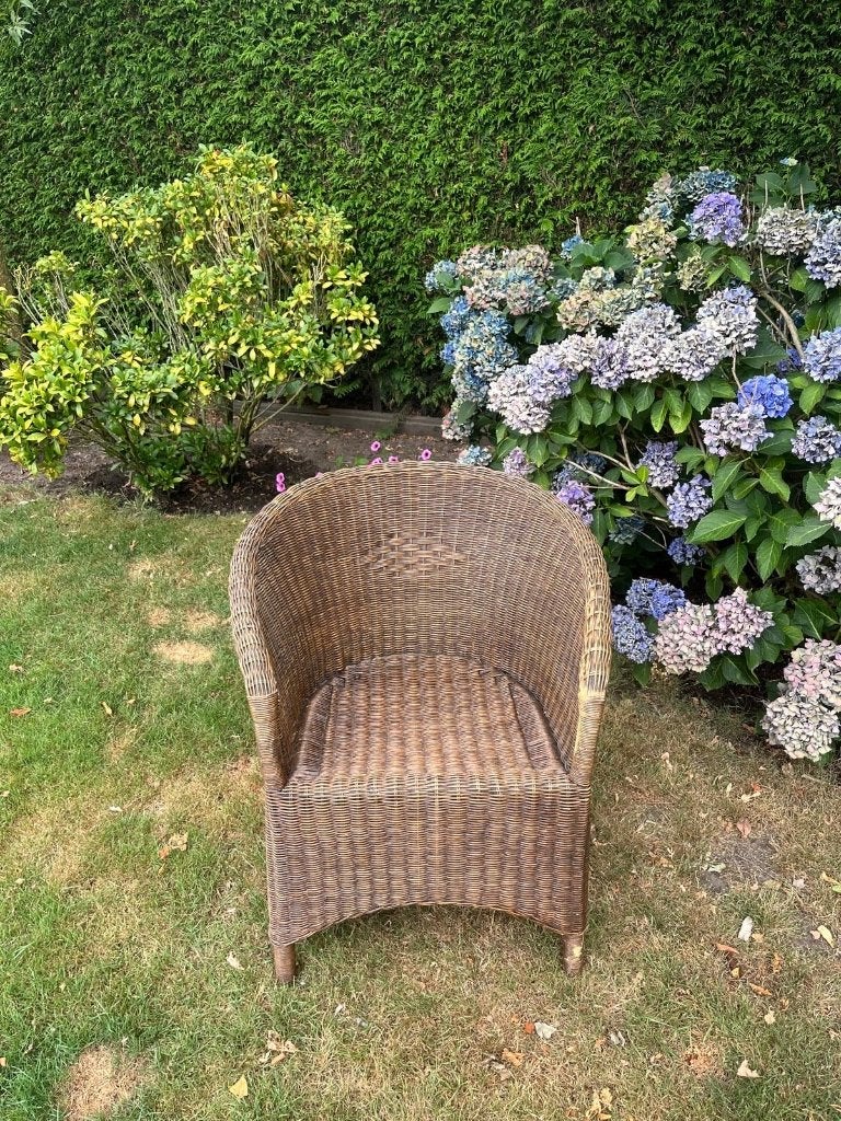 Rotan stoel, Ophalen, Gebruikt, Overige kleuren, Riet of Rotan