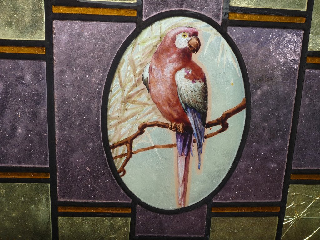 Antiek glas in lood raam met papegaai motief, Ophalen, Gevelraam of Ruit, Gebruikt, 80 tot 120 cm