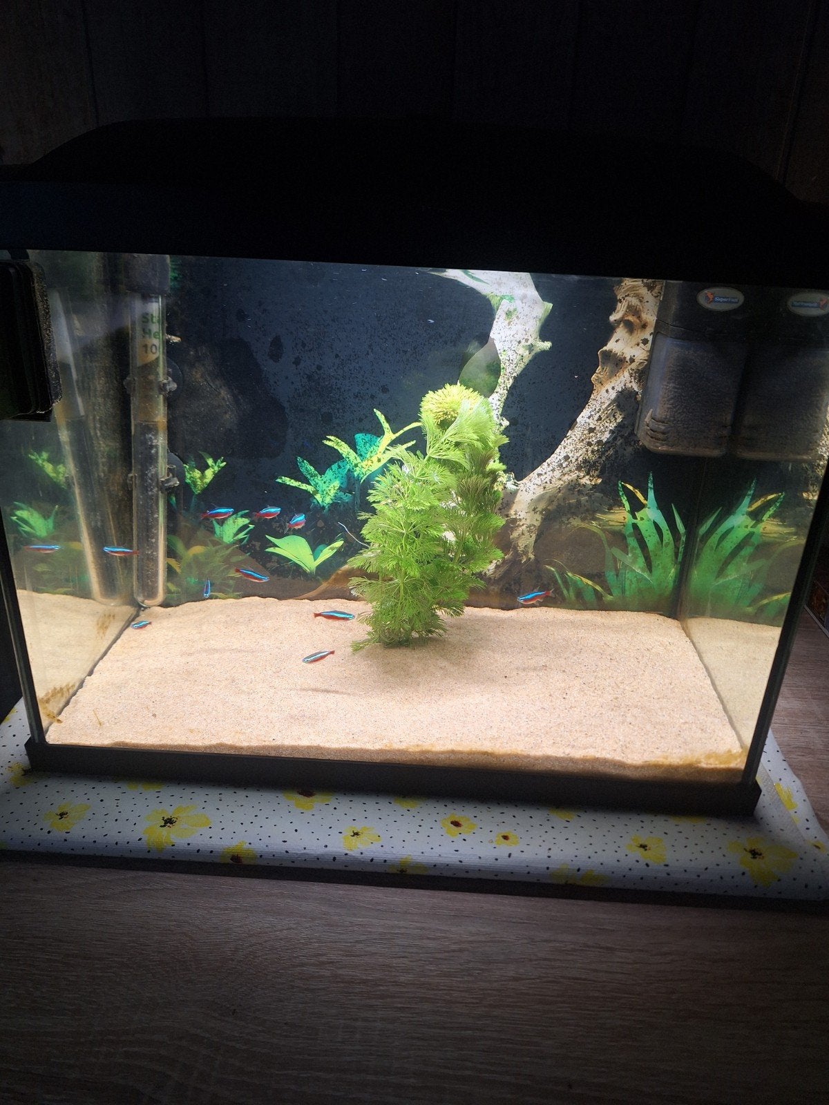 leuk klein aquarium  te koop, Ophalen of Verzenden