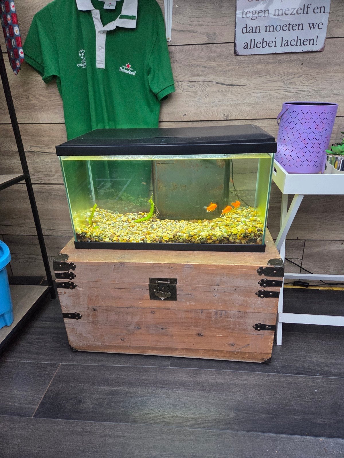 Aquarium, Ophalen, Zo goed als nieuw, Leeg aquarium